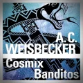 Allan C. Weisbecker – Cosmix Banditos