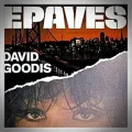 David Goodis – Épaves