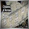 Josette Wouters – Chiens d'Arras