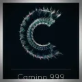 Catherine Fradier – Camino 999