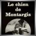 Jean Amila – Le Chien de Montargis