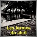 Daniel Picouly – Les Larmes du Chef