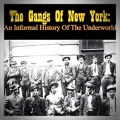 Herbert Asbury – Gangs of New York
