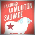 Haruki Murakami – La Course au Mouton Sauvage
